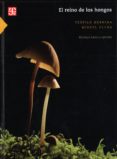 el reino de los hongos: micologia basica y aplicada-teofilo herrera-miguel ulloa-9789681657376 el reino de los hongos: micologia basica y aplicada-teofilo herrera-miguel ulloa-9789681657376