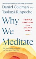 Why We Meditate-13315852-otro-formato