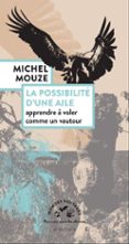 LA POSSIBILITÉ D'UNE AILE
