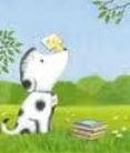 roc aprende a leer-tad hills-9788426138286 roc aprende a leer-tad hills-9788426138286