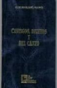 castigos, delitos y bel canto-carlos garcia valdes-9788489493186 castigos, delitos y bel canto-carlos garcia valdes-9788489493186