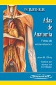 prometheus: atlas de anatomia. fichas de autoevaluacion-anne m. gilroy-9788498353686 prometheus: atlas de anatomia. fichas de autoevaluacion-anne m. gilroy-9788498353686