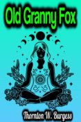 Descarga de ebooks de computadora epub OLD GRANNY FOX
         (edición en inglés)