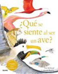 ¿Qué se siente al ser un ave?-15875992-otro-formato