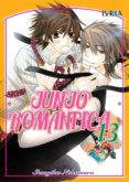 Junjo Romantica 13-9034802-otro-formato