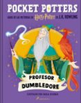 Pocket Potters 4 - Dumbledore-17546638-otro-formato