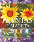 plantas en maceta-jorge javier echague burgos-9788430559596 plantas en maceta-jorge javier echague burgos-9788430559596