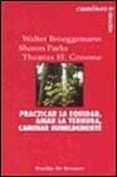 practicas la equidad, amar la ternura, caminar humildemente: un p rograma para agentes de pastoral-walter brueggemann-sharon parks-thomas h. groome-9788433015396 practicas la equidad, amar la ternura, caminar humildemente: un p rograma para agentes de pastoral-walter brueggemann-sharon parks-thomas h. groome-9788433015396
