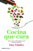 cocina que cura-maria concepcion vidales aznar-9788448005696 cocina que cura-maria concepcion vidales aznar-9788448005696