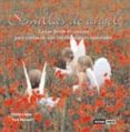 semillas de angel (incluye cartas)-nuria lopez-pere pascuet-9788475564296 semillas de angel (incluye cartas)-nuria lopez-pere pascuet-9788475564296