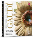 ED. VISUAL ANTONI GAUDI- FRANCES-13336866-otro-formato