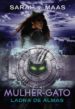 mulher-gato (ebook)-9788580419726 mulher gato (ebook) 9788580419726