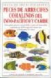 peces de arrecifes coralinos: del indo-pacifico y caribe-9788428211246 peces de arrecifes coralinos: del indo pacifico y caribe 9788428211246