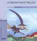 la bruixa sense trellat-9788476609446 la bruixa sense trellat 9788476609446