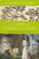 la firma de todas las cosas-elizabeth gilbert-9788466330336 la firma de todas las cosas elizabeth gilbert 9788466330336