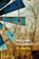 el villorrio (premio nobel literatura)-william faulkner-9788466329576 el villorrio (premio nobel literatura) william faulkner 9788466329576