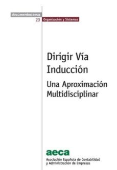 Portada de DIRIGIR VIA INDUCCION : UNA APROXIMACION MULTIDISCIPLINAR:DOCUMENTO N20: ORGANIZACION Y SISTEMA