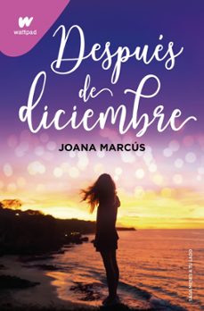 Portada de DESPUES DE DICIEMBRE
