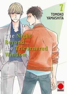 Portada de THE NIGHT BEYOND THE TRICORNERED WINDOW 7