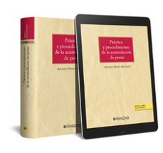 Ibooks descargas gratuitas PRÁCTICA Y PROCEDIMIENTO DE LA ACUMULACIÓN DE PENAS