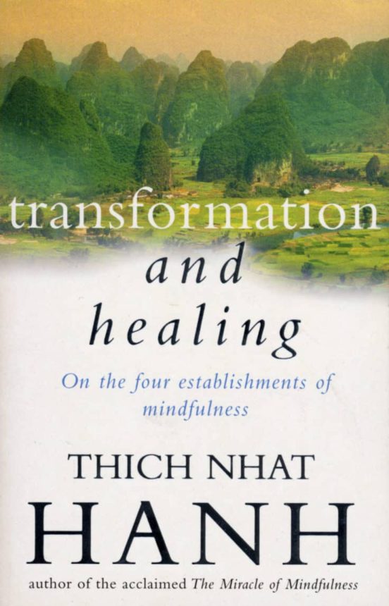 Essay on nhat hanh transformation and healing 06 image