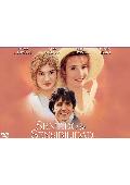 sentido y sensibilidad - dvd - ed.horizontal-8414533112451 sentido y sensibilidad - dvd - ed.horizontal-8414533112451
